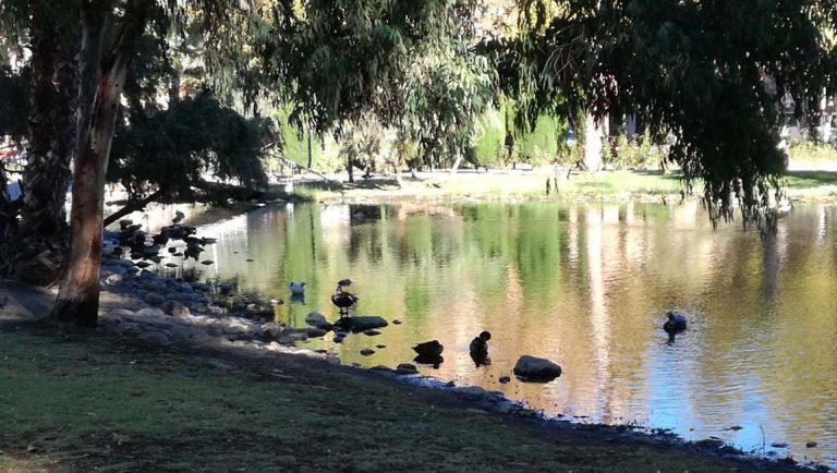 Parques y zonas recreativas en Murcia: Actividades al aire libre para los más pequeños